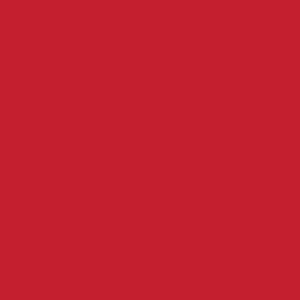 Mission Models RC Translucent Red Paint 2oz (60ml) (1)