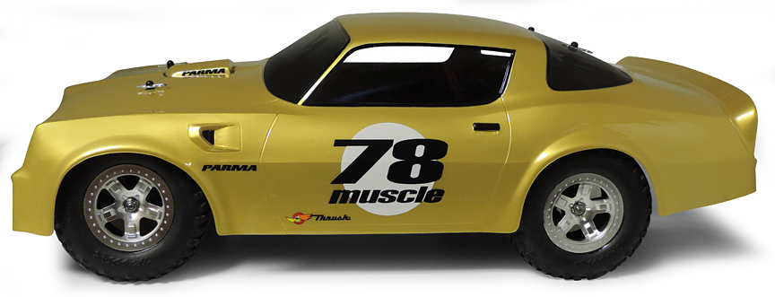 parma muscle rc body